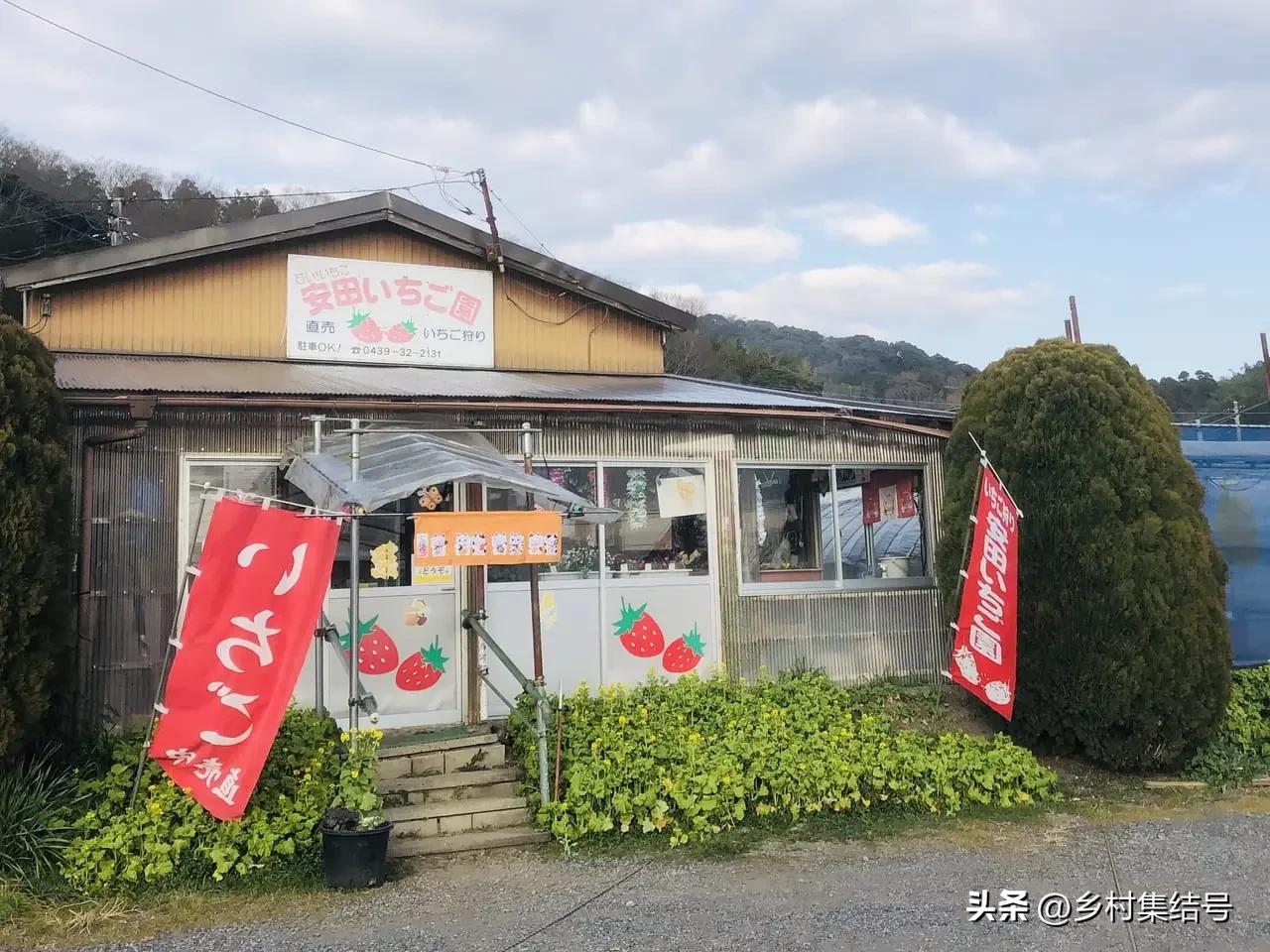 安田草莓园,日本安田草莓园