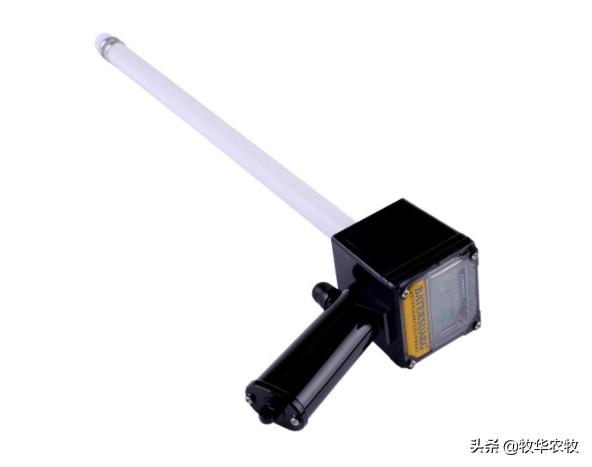 母牛人工授精技巧方法,母牛人工授精的方法