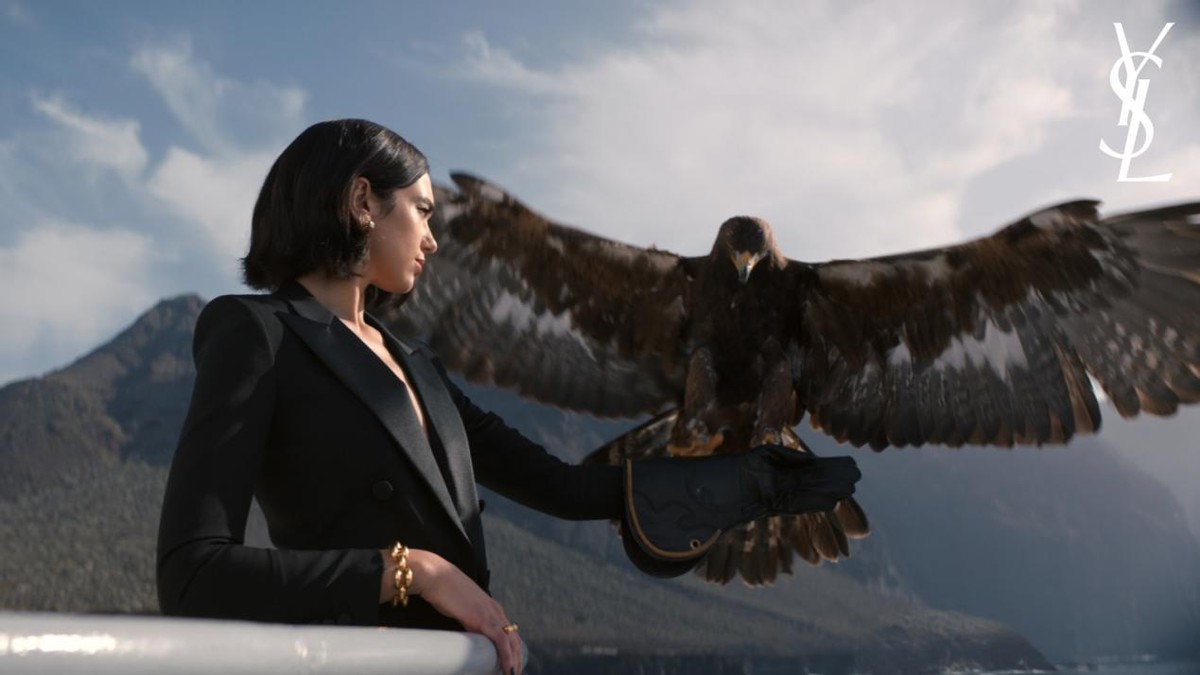 ysl圣罗兰libre自由之水,ysl圣罗兰自由之水网红代言