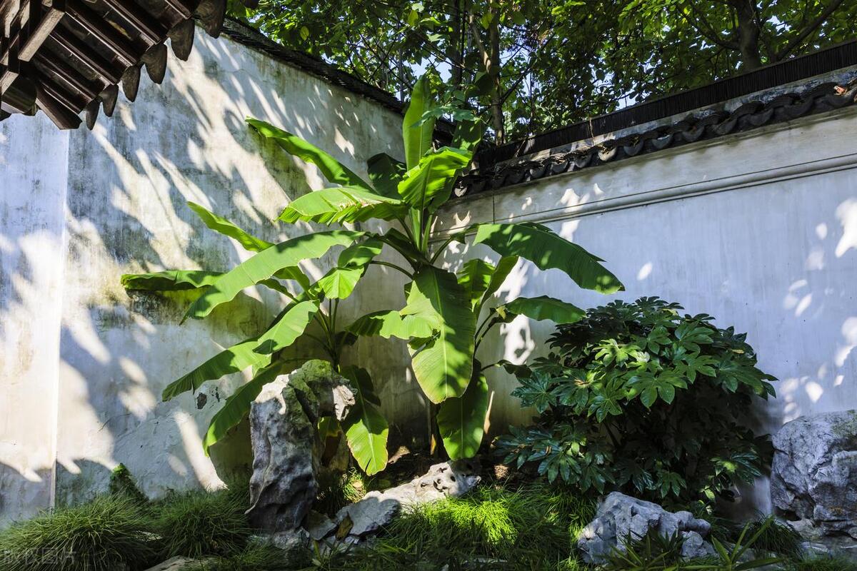 苏州免费的小众园林,苏州推荐的小众园林