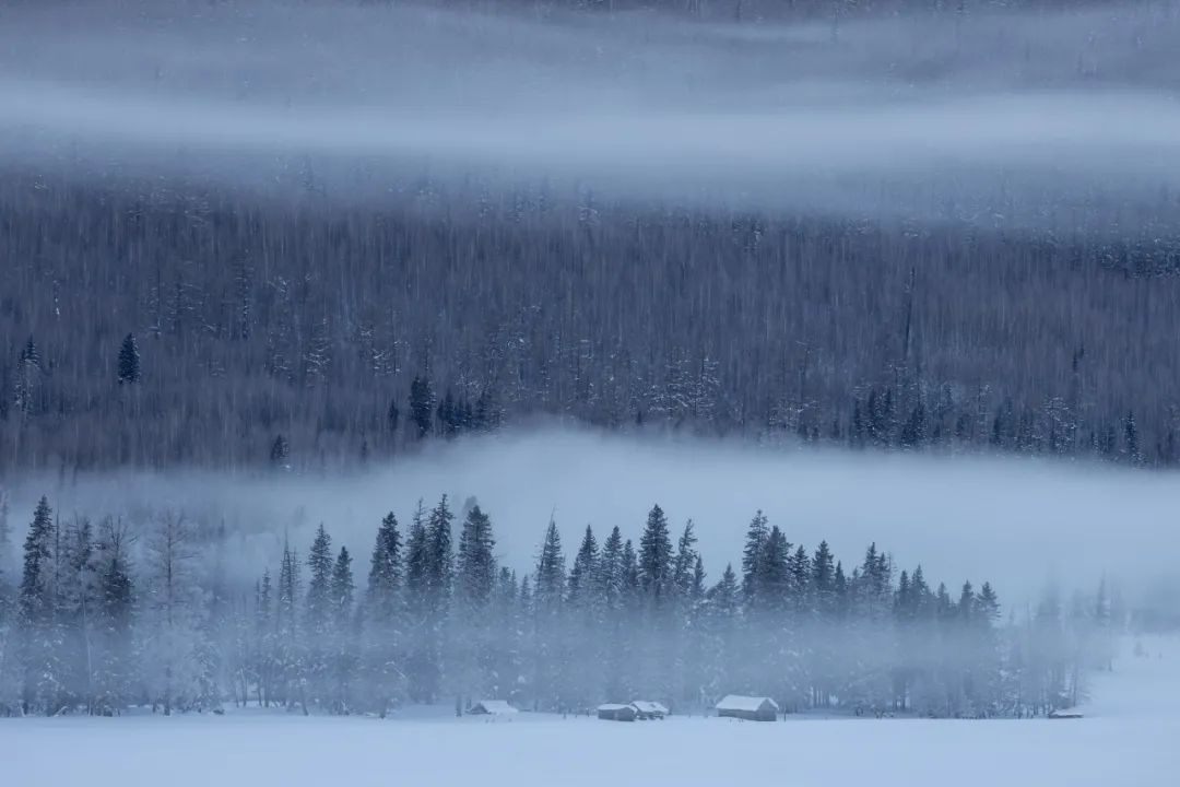 佳能r6mark2摄影三要素教程,eosr6markii景深合成