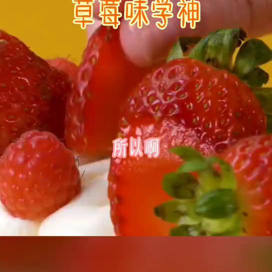 小说推荐言情小说,小说推荐穿越重生