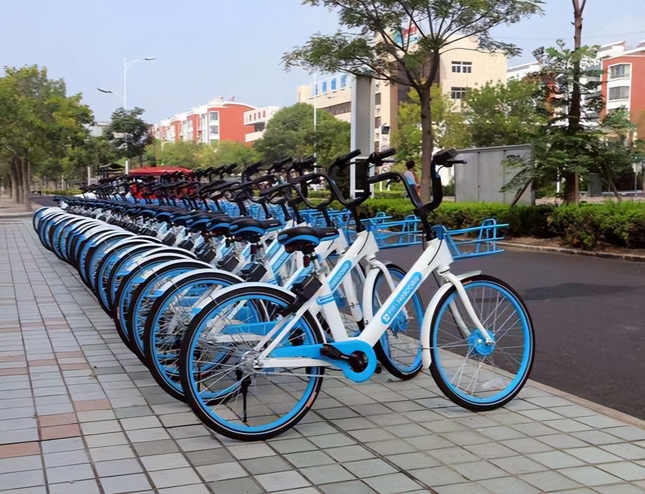 凤凰自行车一年营收,连续两年亏损营收超一亿