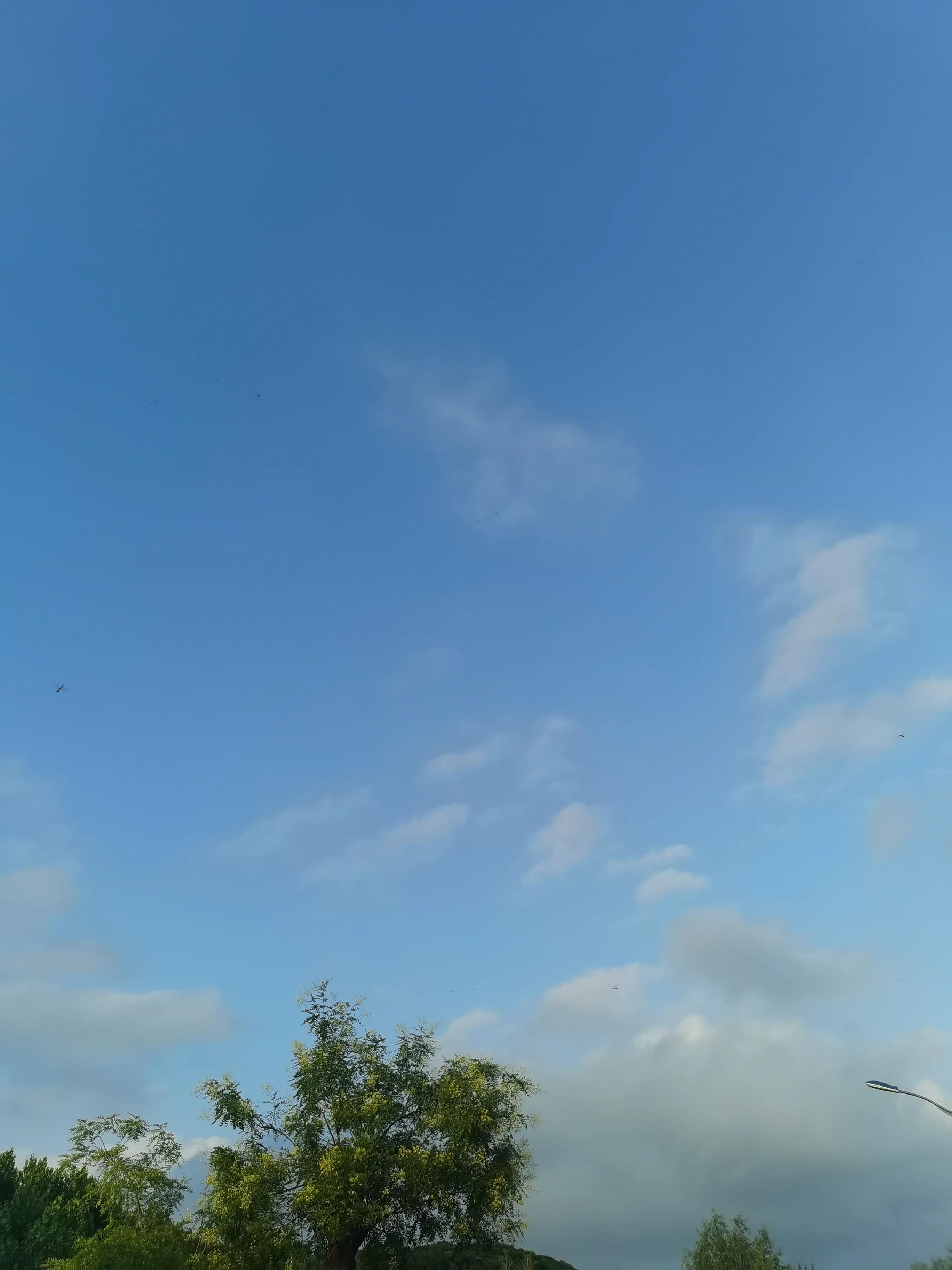 道在屎溺粤语怎么说,道在屎溺之中