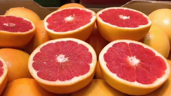 水果店用什么冰箱保鲜水果好,夏天水果店如何让水果保鲜