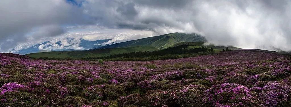 昭觉美姑,美姑路况