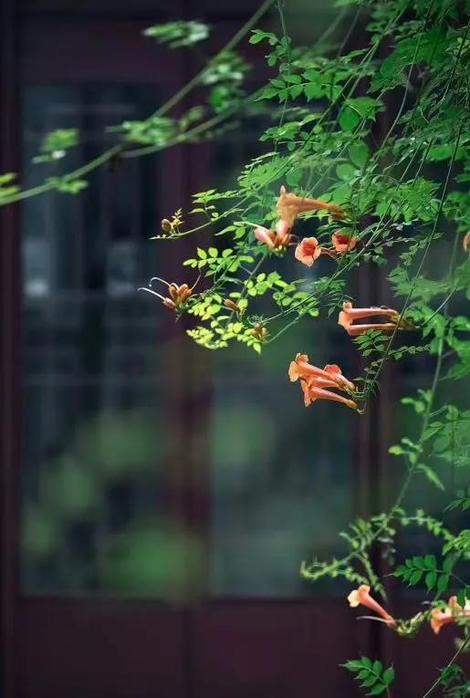 生活就是用一两分的甜冲淡8分苦,生活用一两分的甜冲淡七八分的苦