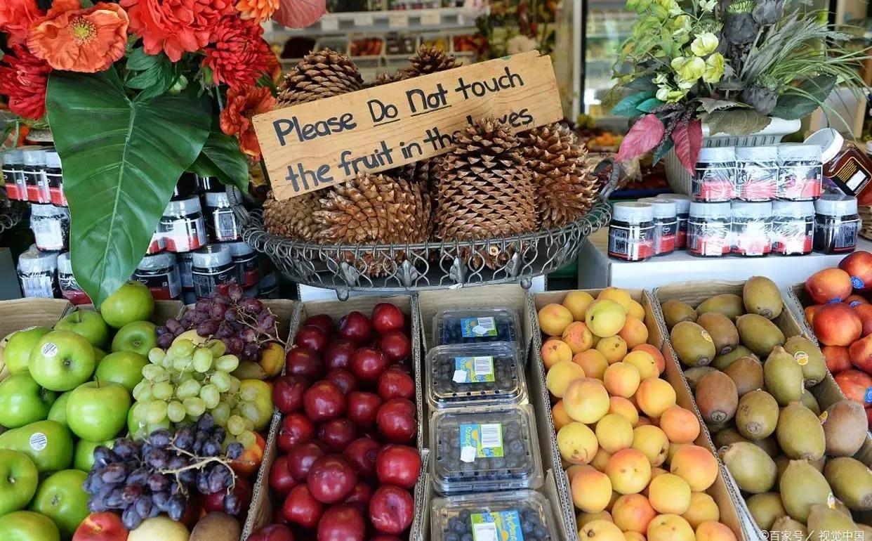 记此君与脾虚斗争的十年,下