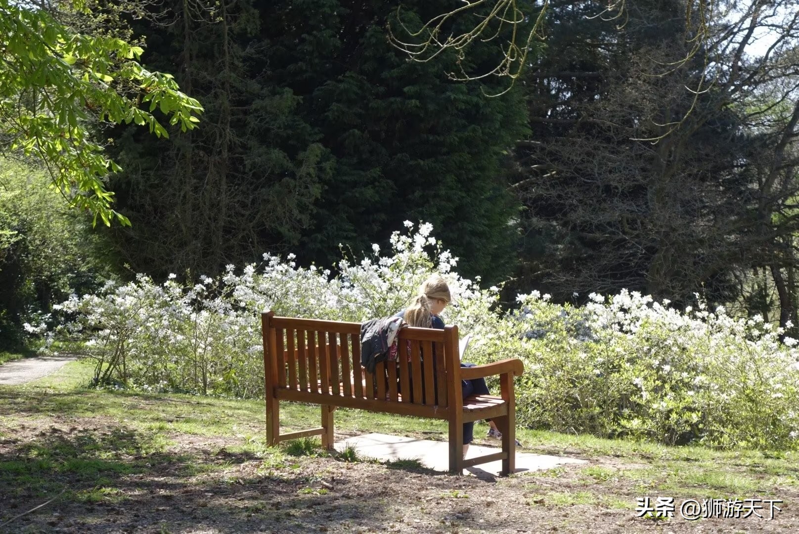 英国本科陪读,英国陪读住宿