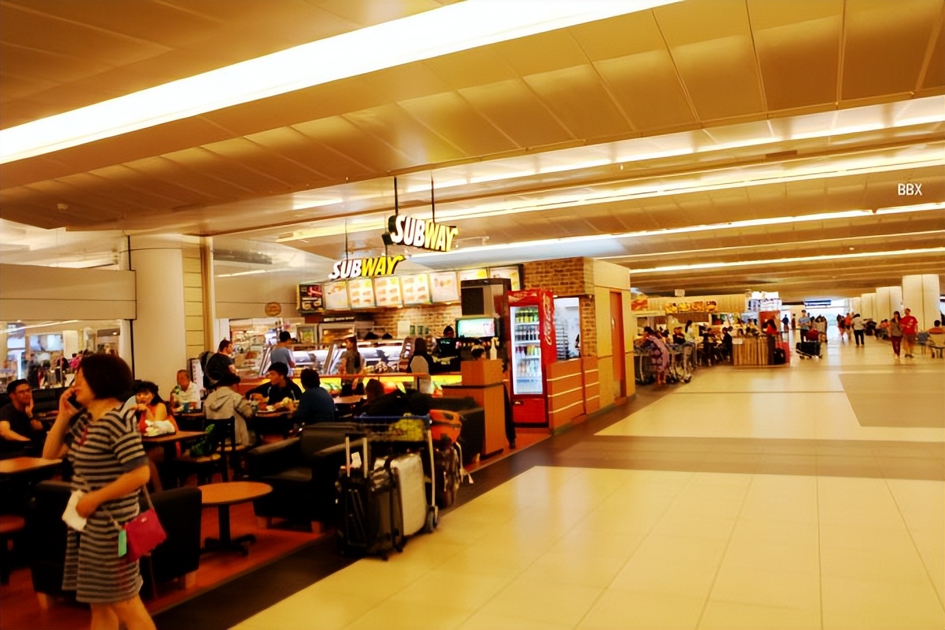 新加坡樟宜机场的仙人掌花园,新加坡最美机场在哪个航站楼