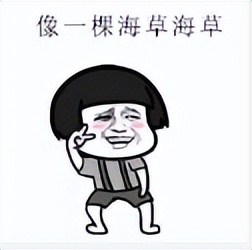 微信红包历史记录在哪里,关于微信红包的秘密