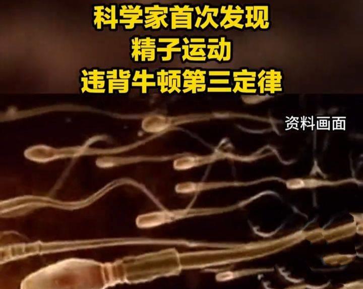 精子的运动能量,精子活动力半数呈直线运动