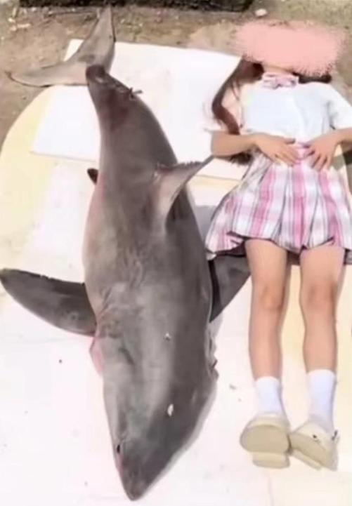 网红小贝饿了被视为假吃,小贝饿了被罚46万还能直播带货吗