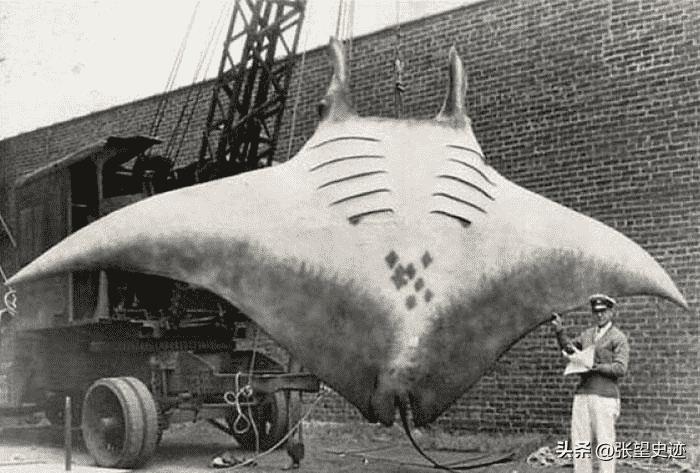 30张影像展现花楼女子媚态百出，丰乳肥臀之绝美风姿