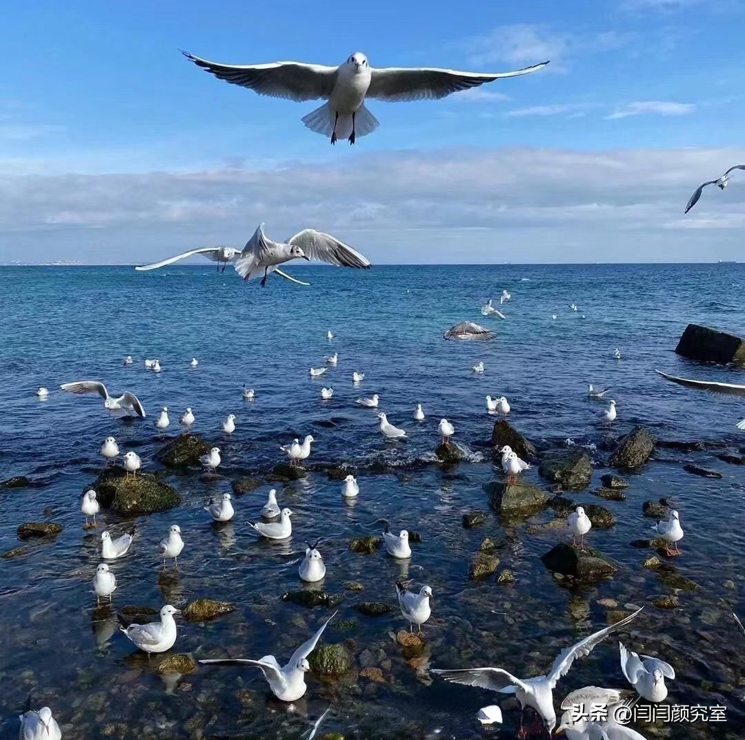 微信置顶文案高级伤感,微信置顶文案短句干净初心