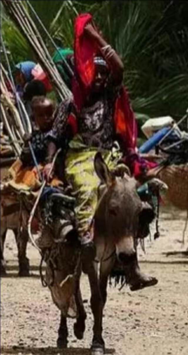 山海经2012白话全译彩图版pdf,山海经海外西经是指哪里