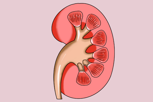 孩子舌头发白中间裂纹怎么调理,舌头两边有齿痕舌苔发白有裂纹