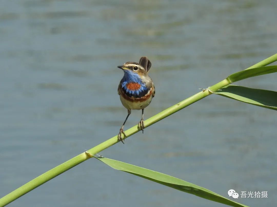 砂石坑什么时候挖出来,砂石石槽图片