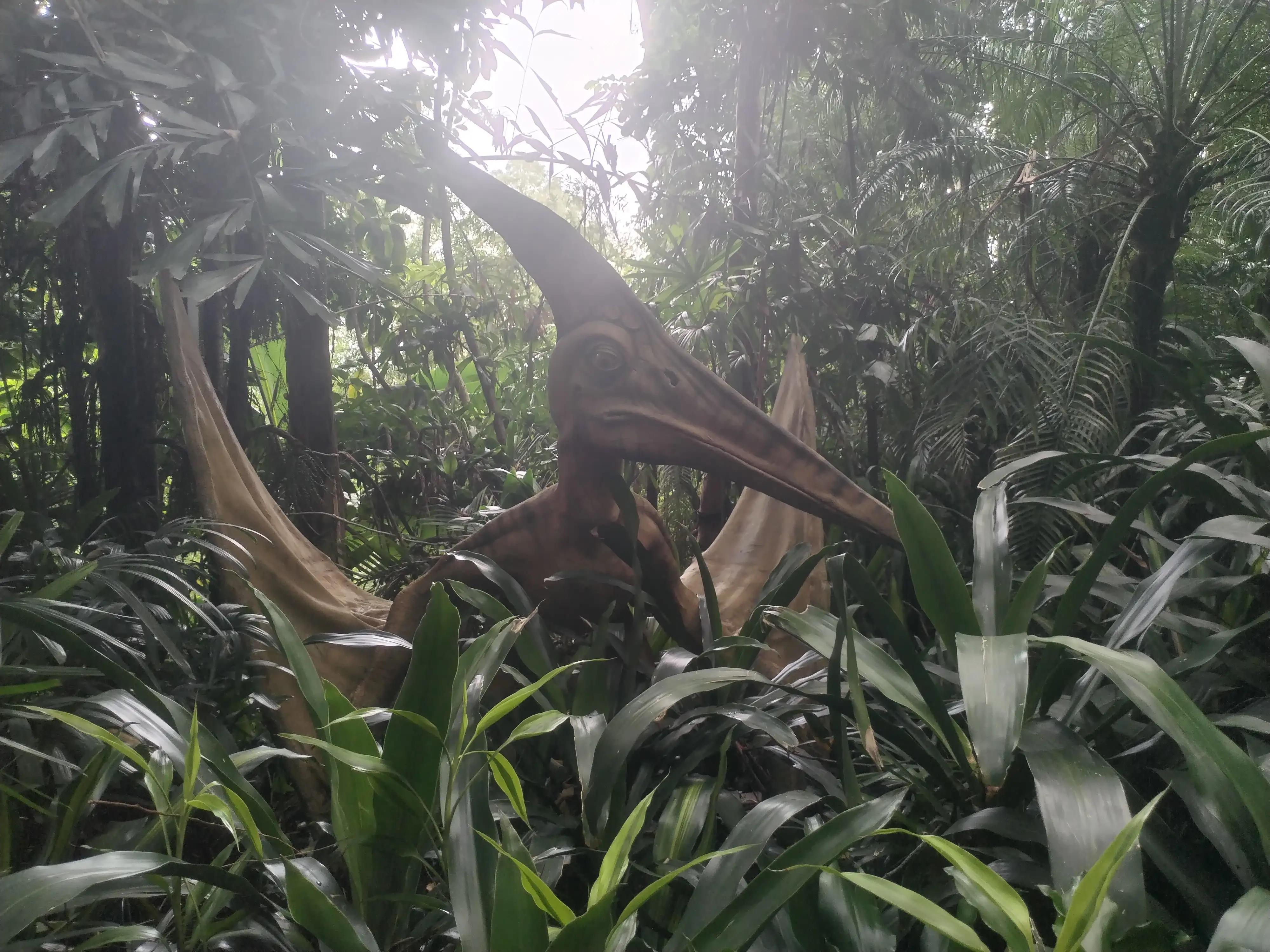 广州长隆野生动物世界景点图片,游广州长隆野生动物世界游记