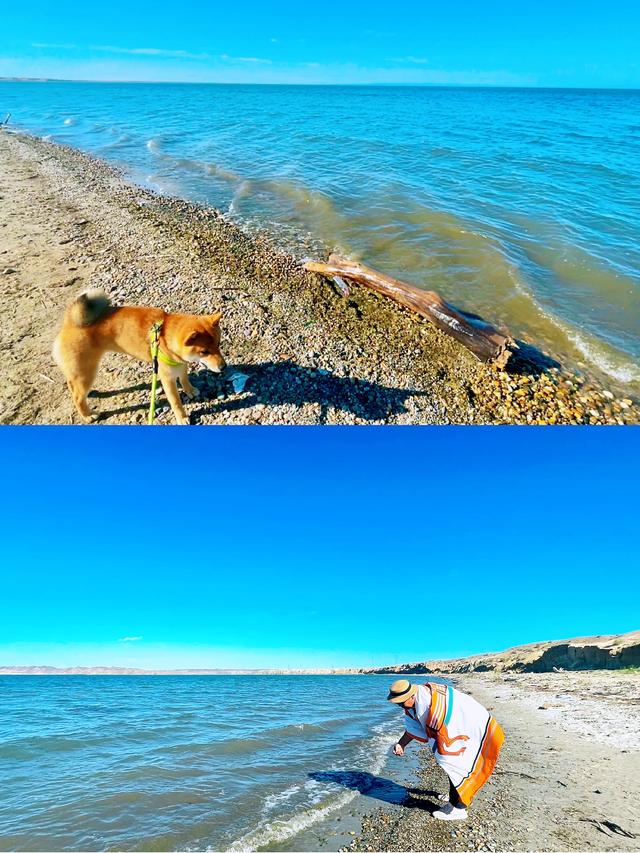 蔚来es6新款自驾游,蔚来es6旅行自驾