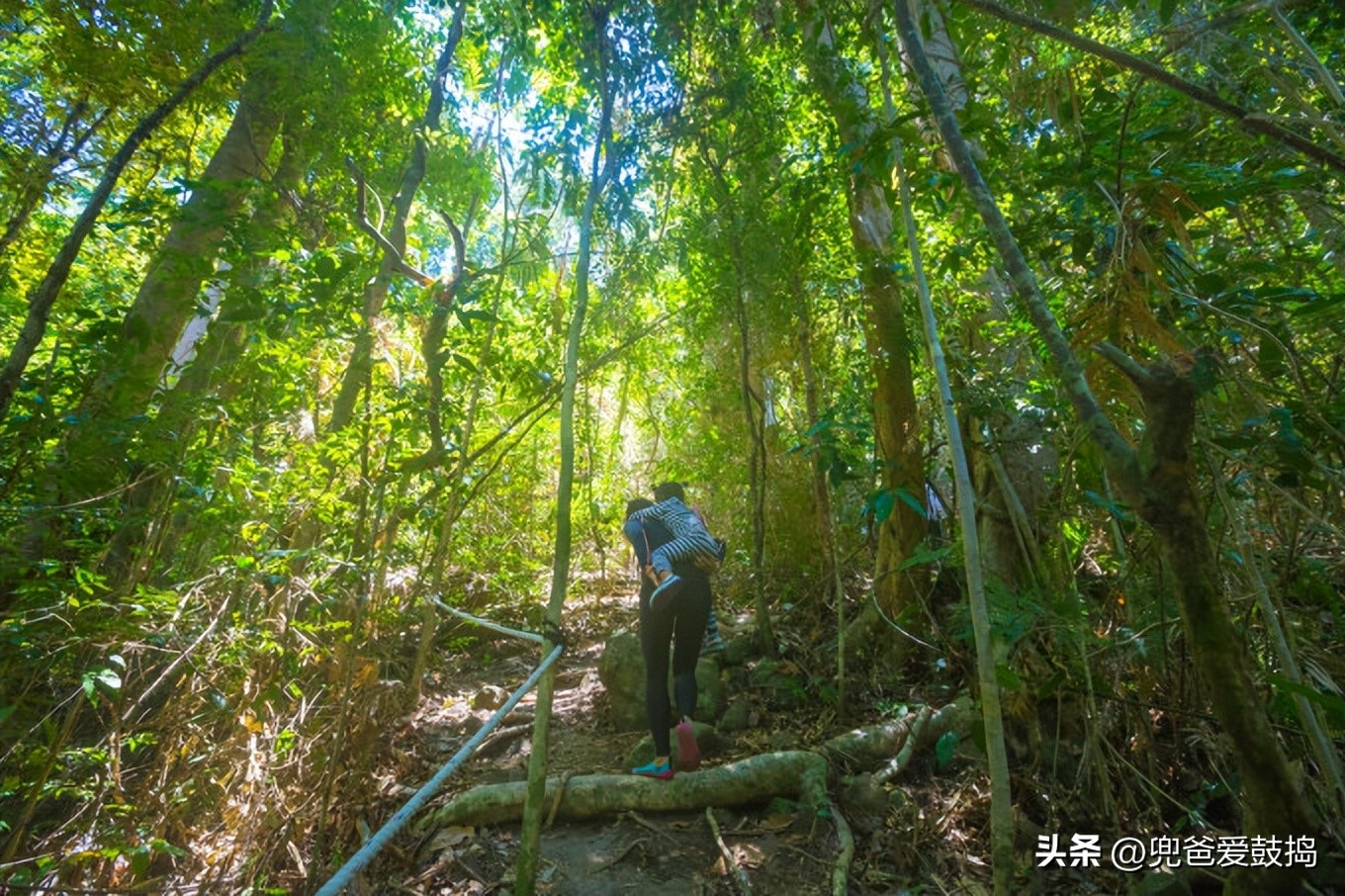 登岛旅游,仙本那和敦沙卡兰哪个好
