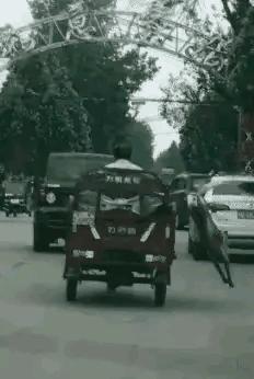 “姑娘，你知道衣服上的字是什么意思吗？”哈哈哈自信的姑娘最美