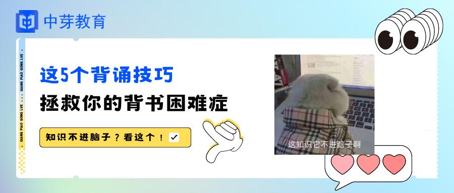 背书背了容易忘,背书怎么背比较高效