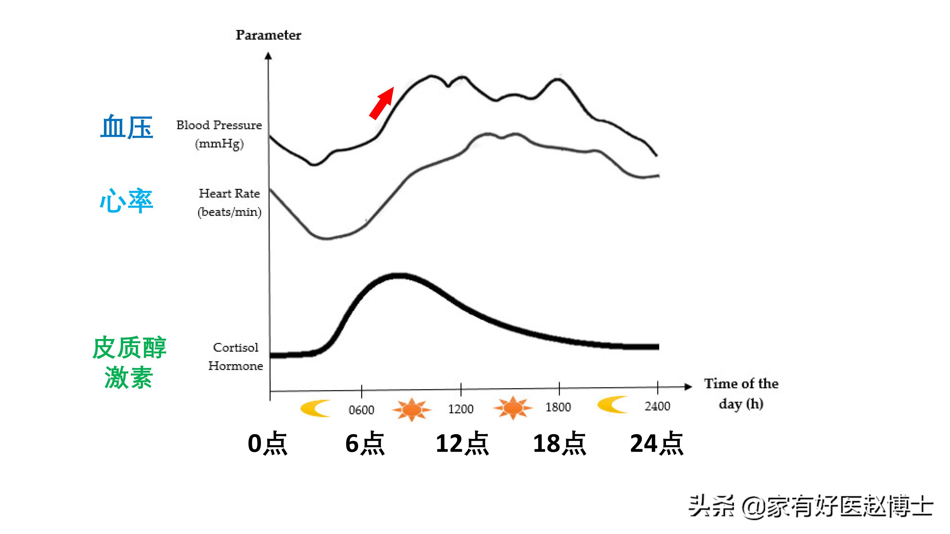 高血压患者血压一阵阵的持续升高,血压忽高忽低怎么判断是高血压