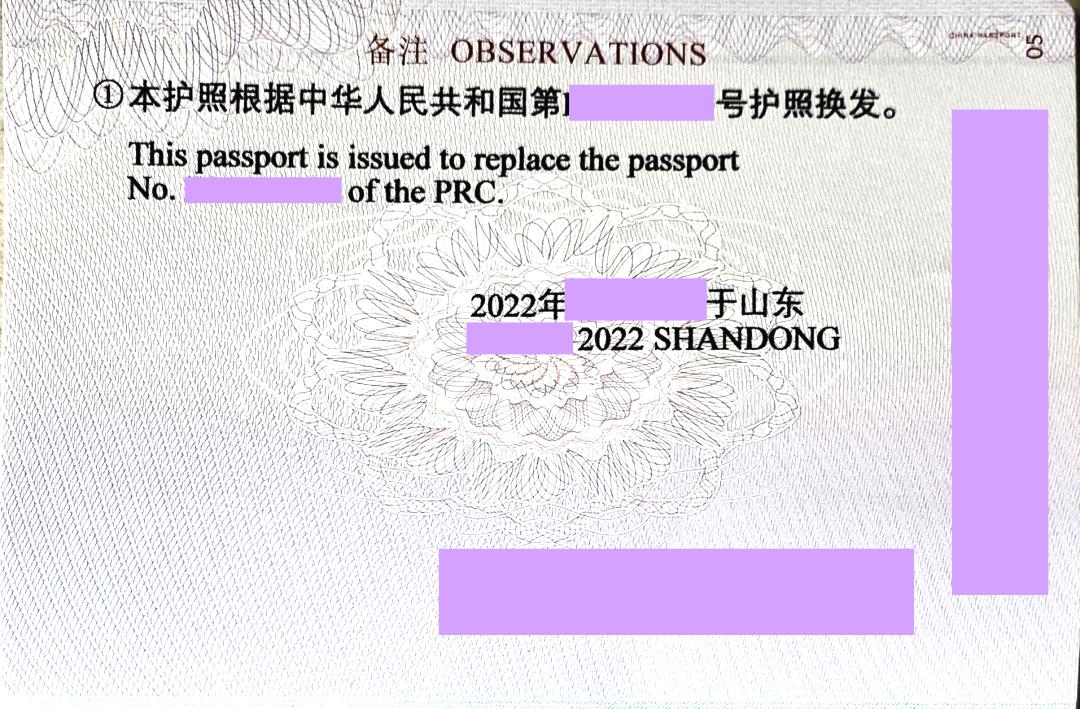 中国护照一般分为哪几种,中国护照有几种类型