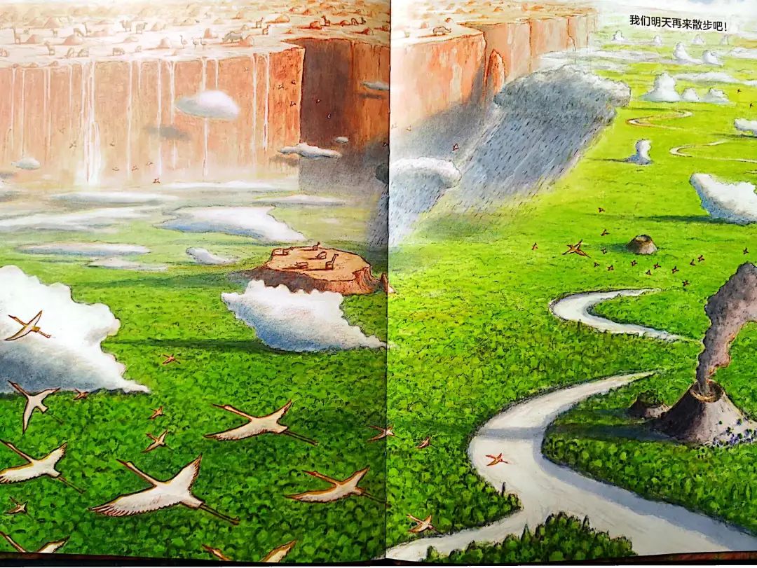 值得孩子看的4本经典绘本,绘本推荐3-6岁散步