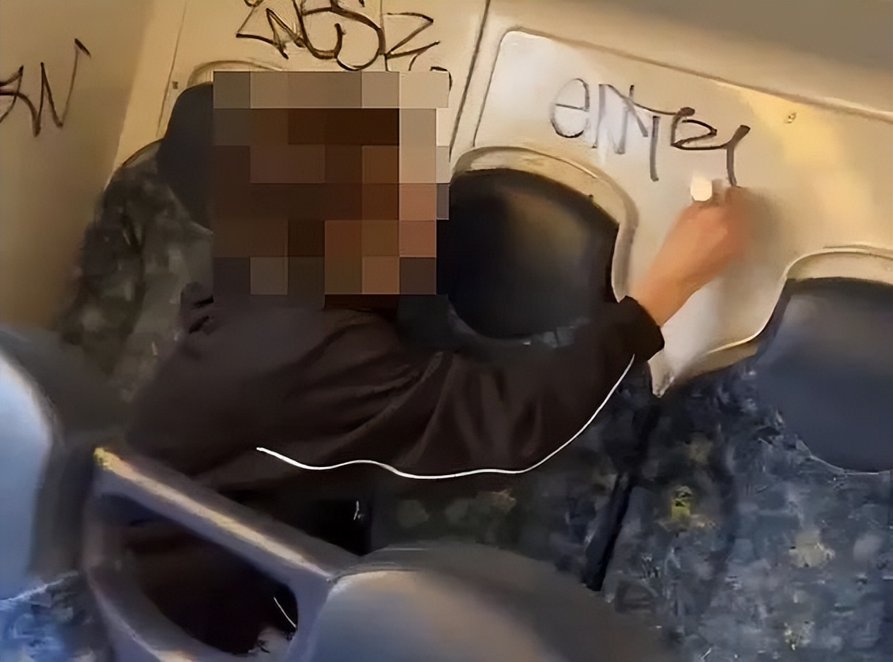 澳洲小混混们令居民头痛不已，当局出狠招：拉他们去偏僻乡下养牛