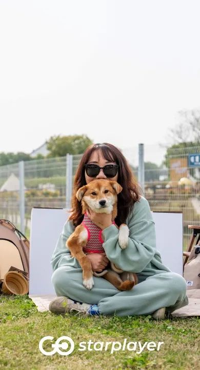 汪汪队露营去游戏,汪汪队露营获得勋章