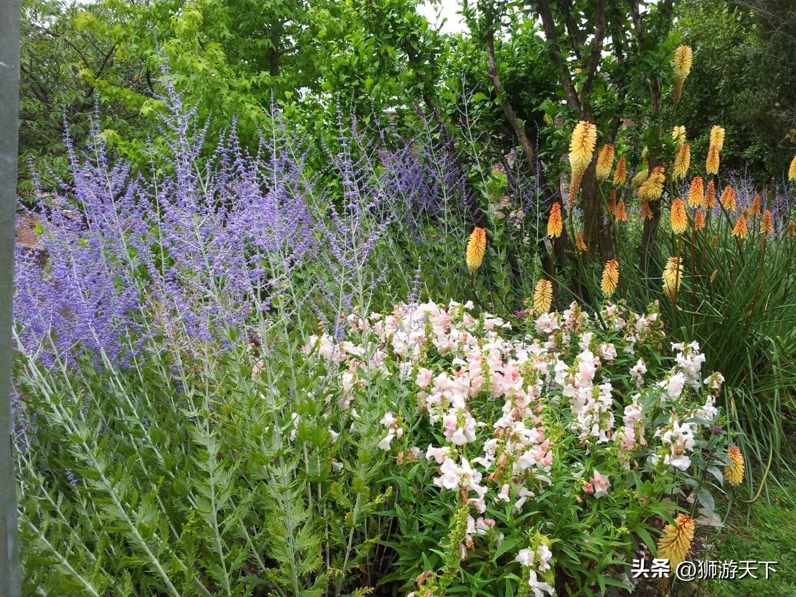 英国陪读活动,英国陪读的日常