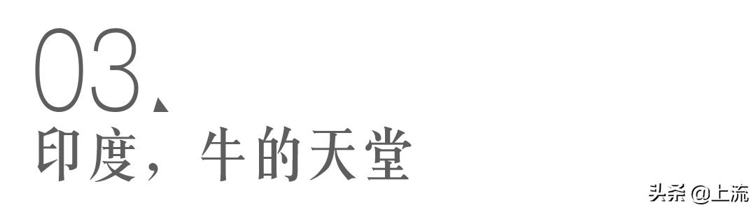 印度狂欢节,参加完活动有种空虚感