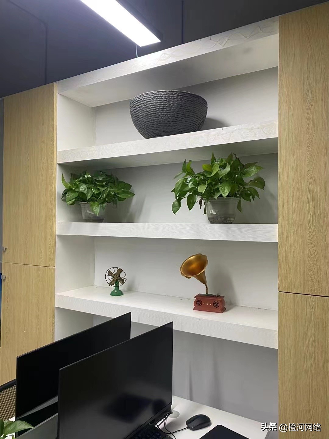 国外问卷调查怎么做,国外问卷调查怎么入门