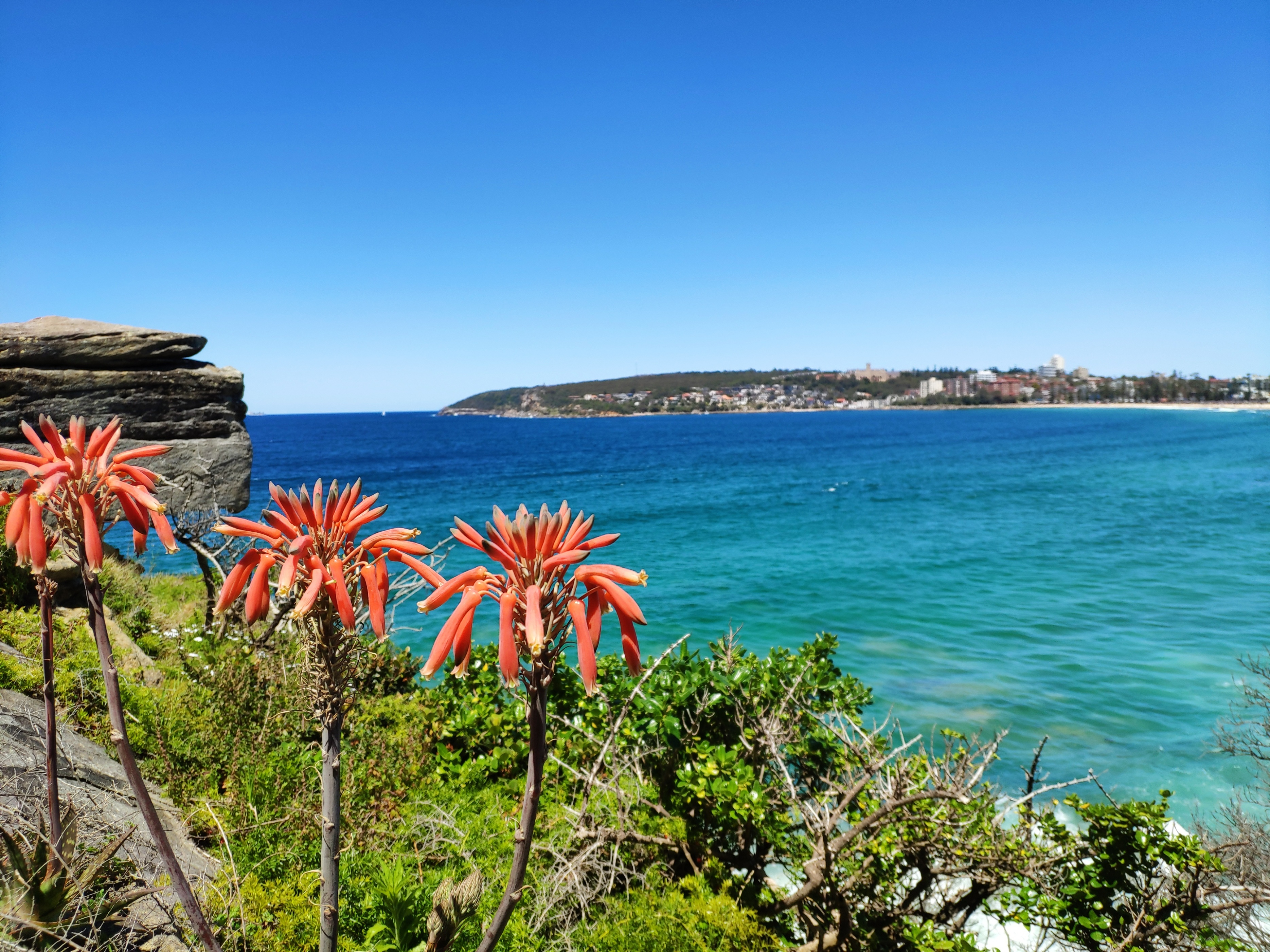 曼利海滩风景图片,著名的曼利海滩