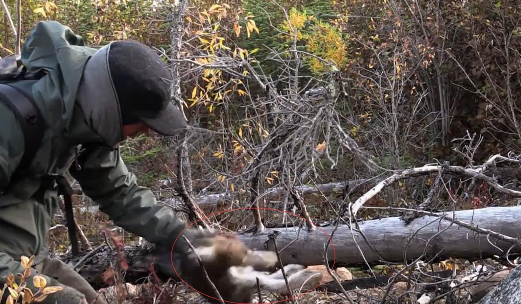 100天挑战荒野赢100万美元,荒野100天冠军