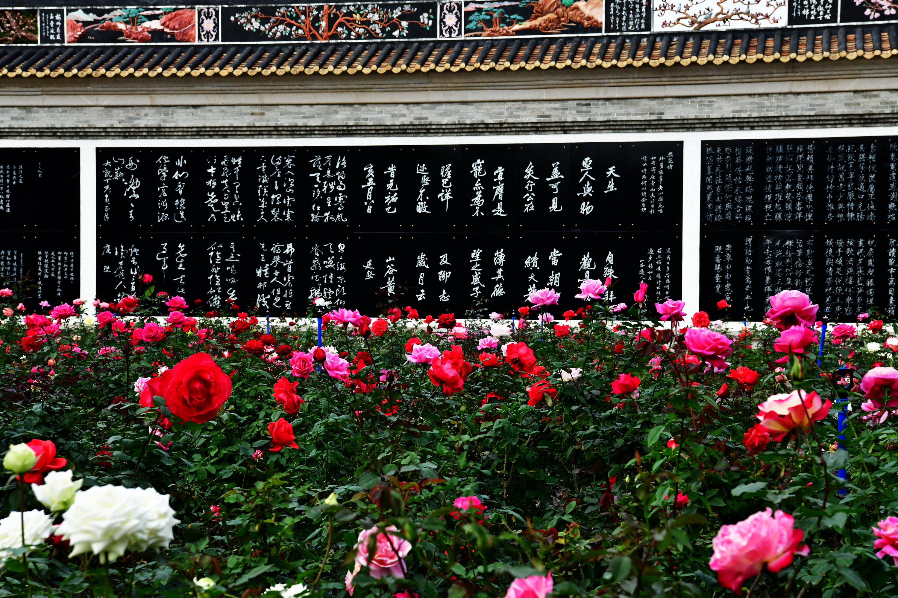 广州市番禺区宝墨园攻略,广州宝墨园景观