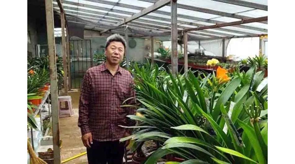 我们屯子里“豁牙子”多