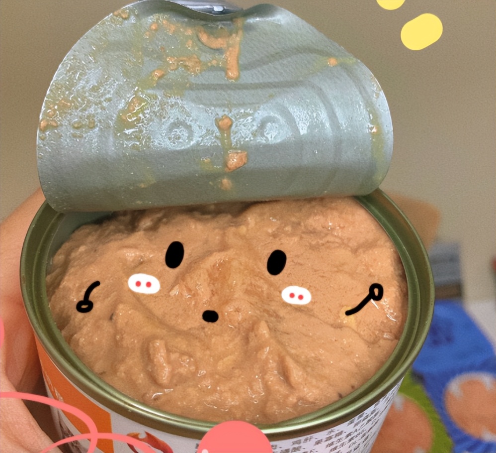 猫21测评：GFC全价猫宠物奶糕罐头怎样？包装怎样？（三）