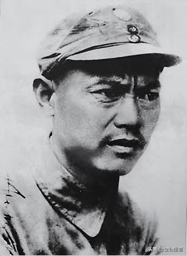 读毛年谱（226）：毛*东泽**为何说“*先念李**部队有绝大战略意义”？