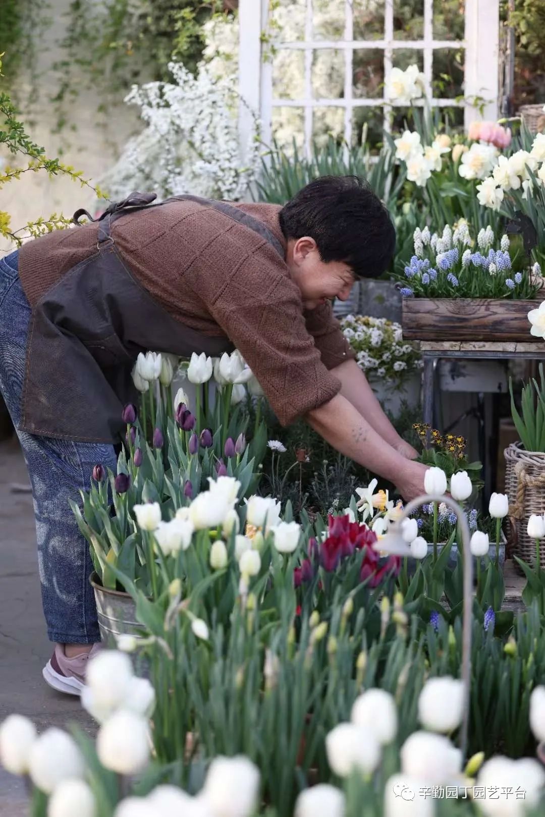 第八届园丁奖露台组《030号》洛基花园