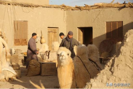 骆驼祥子电影观后感,观新疆纪录片心得体会300字