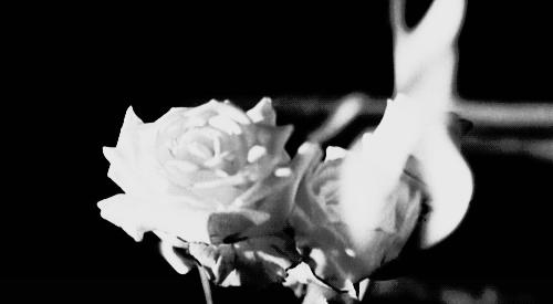 人生就是一场历练与感悟,人生就是一种感受一种历练