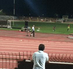 神回复：老鼠贴粘到的，吃了不会犯法吧？网友：自首，争取死缓