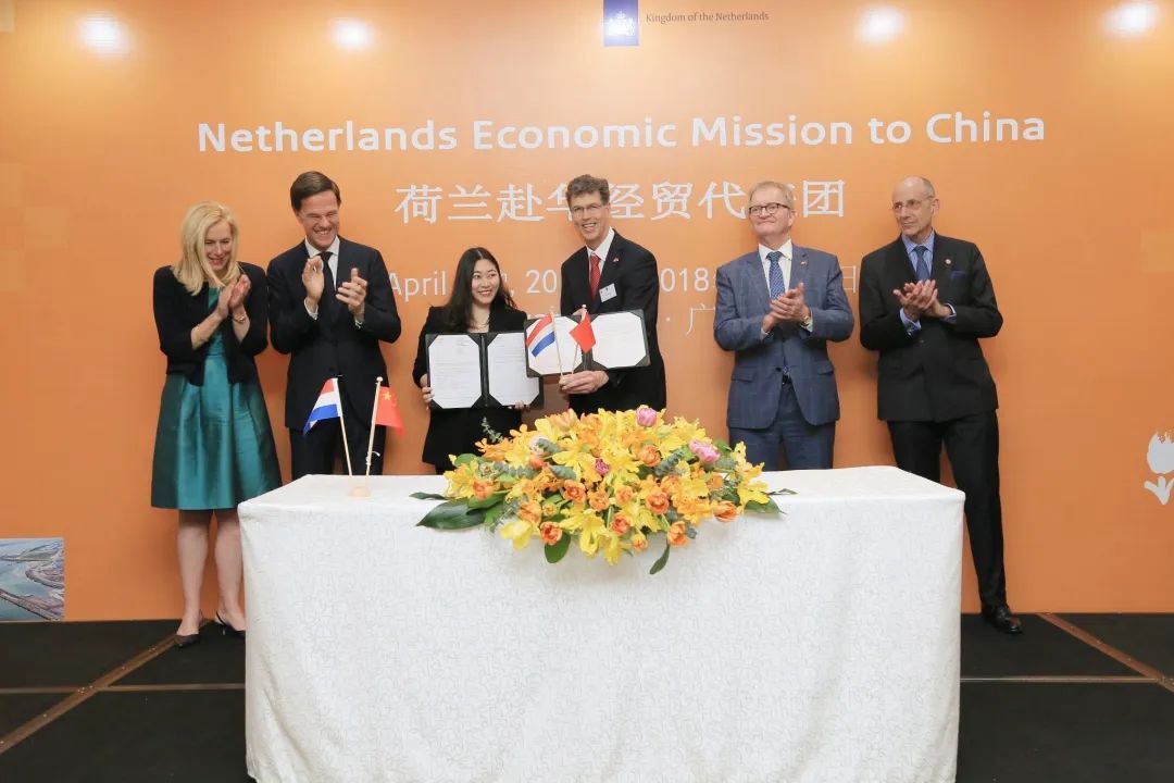 派迪茵体育博览会,派迪茵体育有限公司