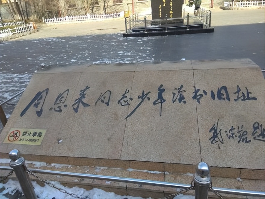 自己面对专业选择很迷茫,选专业要理想还是要现实