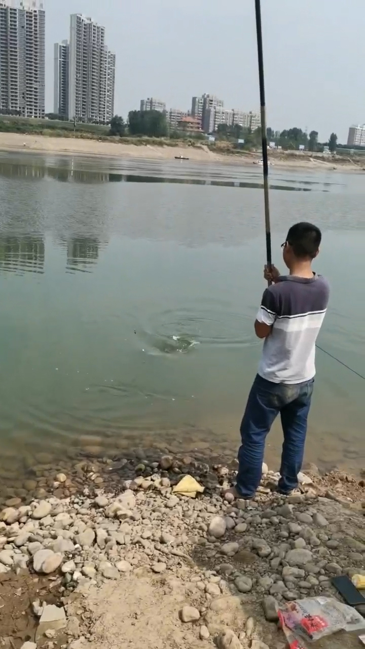野钓入门鱼饵料怎么选合适,野钓鱼竿选购攻略和技巧