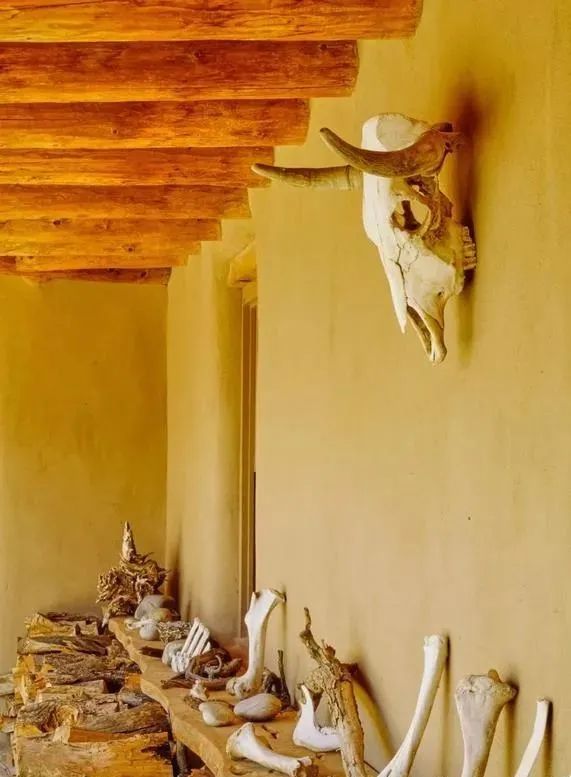 世界知名女画家独居沙漠35年！拒毕加索登门…网友：连家都是艺术