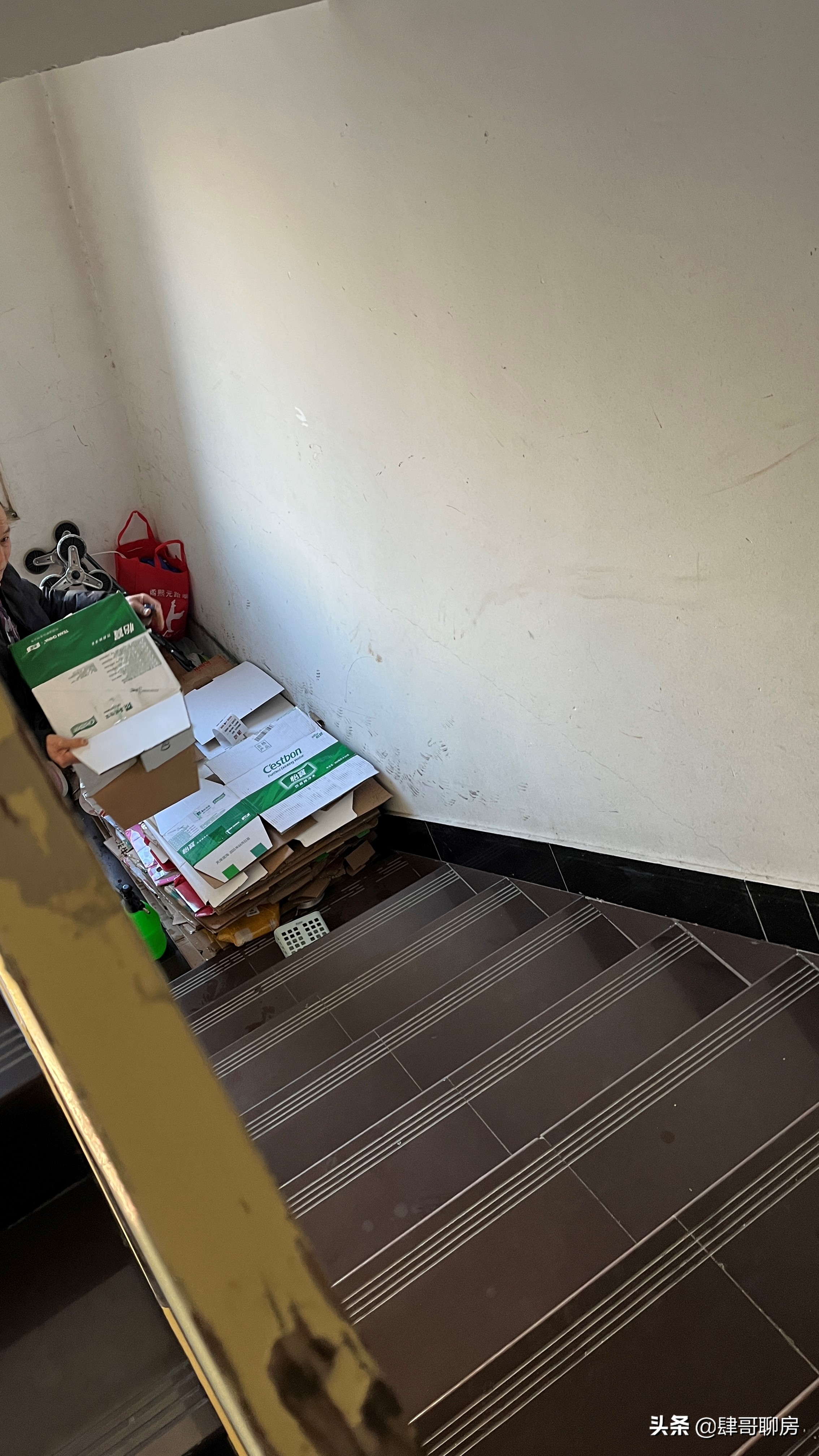 矩阵、流星花园和领袖慧谷-1